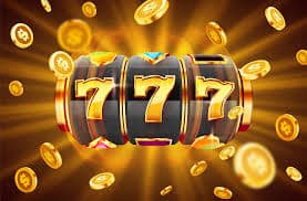 toto20